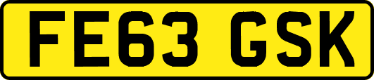 FE63GSK