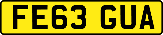 FE63GUA