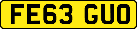 FE63GUO