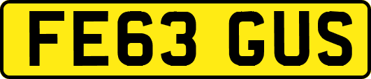FE63GUS