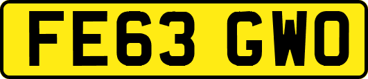 FE63GWO