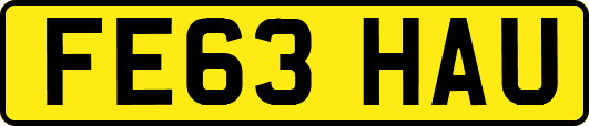 FE63HAU