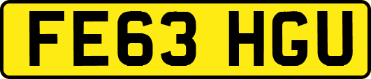 FE63HGU