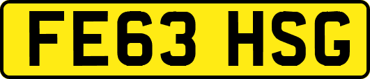 FE63HSG