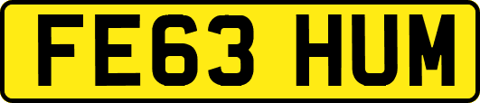 FE63HUM