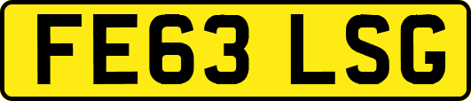 FE63LSG