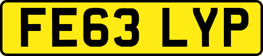 FE63LYP