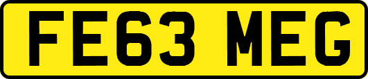 FE63MEG