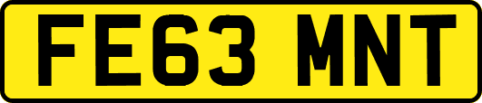FE63MNT