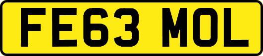 FE63MOL