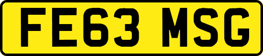 FE63MSG