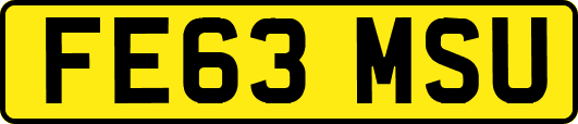 FE63MSU