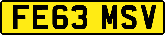 FE63MSV
