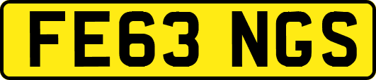 FE63NGS