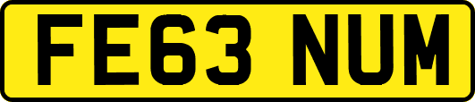 FE63NUM