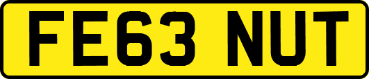 FE63NUT