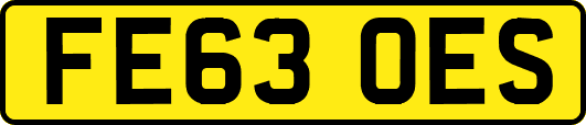 FE63OES