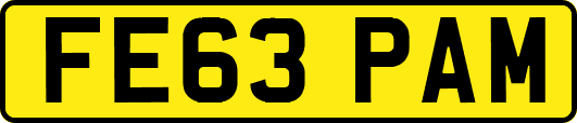 FE63PAM