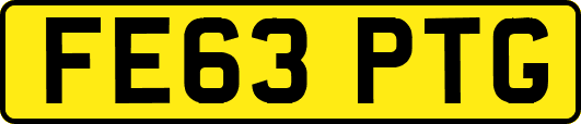 FE63PTG