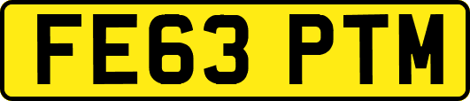 FE63PTM