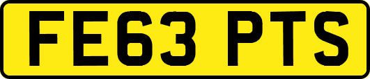 FE63PTS