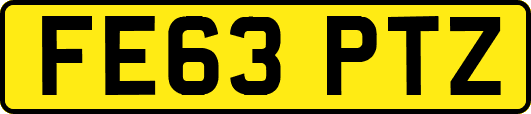 FE63PTZ