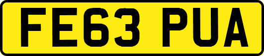 FE63PUA
