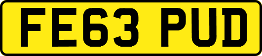 FE63PUD