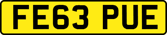 FE63PUE