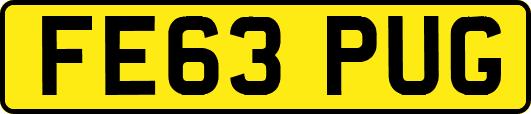 FE63PUG