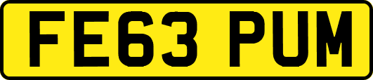 FE63PUM