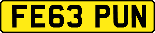 FE63PUN
