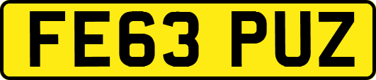 FE63PUZ