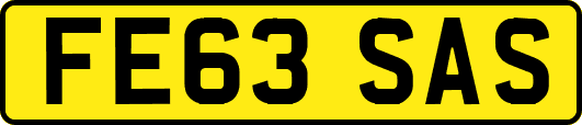 FE63SAS