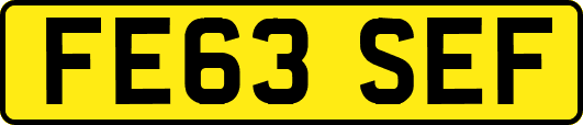 FE63SEF