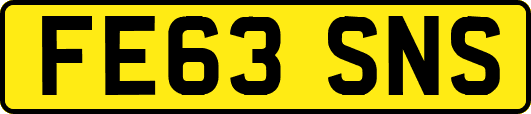 FE63SNS