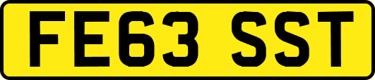 FE63SST