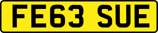 FE63SUE