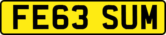 FE63SUM