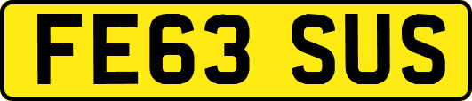 FE63SUS