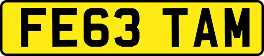 FE63TAM