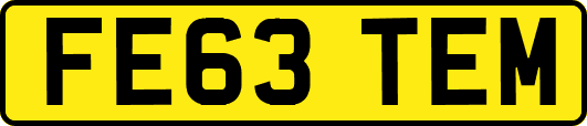 FE63TEM