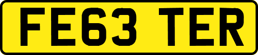 FE63TER