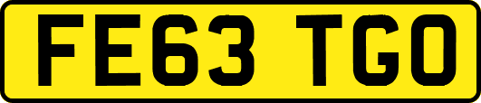 FE63TGO