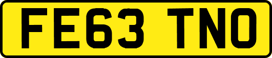 FE63TNO