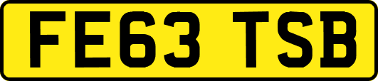 FE63TSB