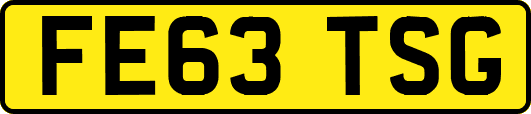 FE63TSG