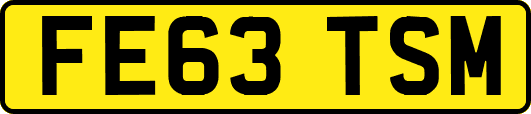 FE63TSM