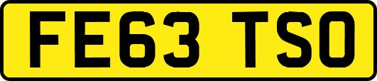 FE63TSO