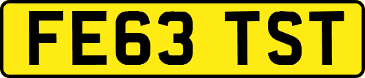 FE63TST